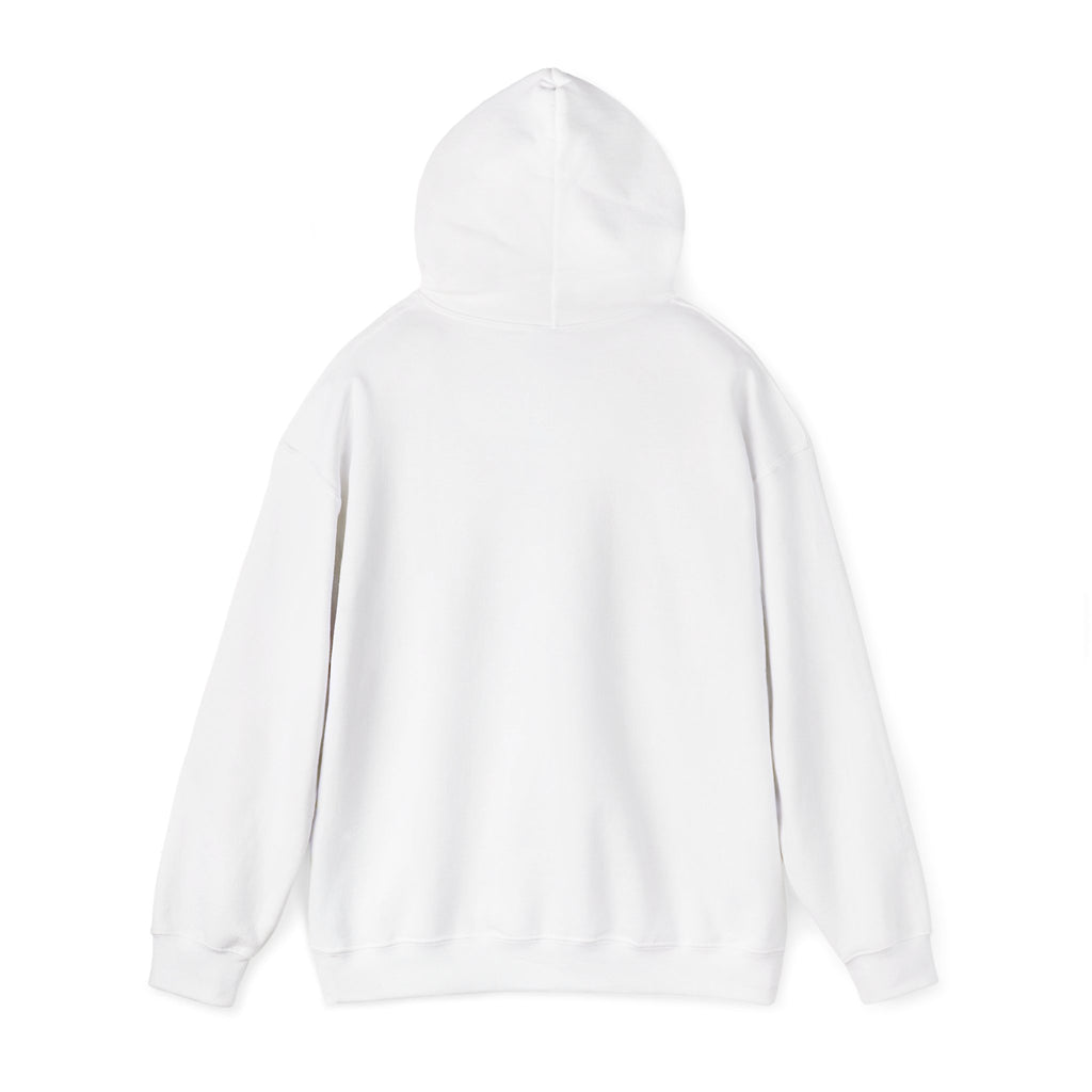 "Who's Seeing Ghosts Now?" Unisex Heavy Blend™ Hooded Sweatshirt