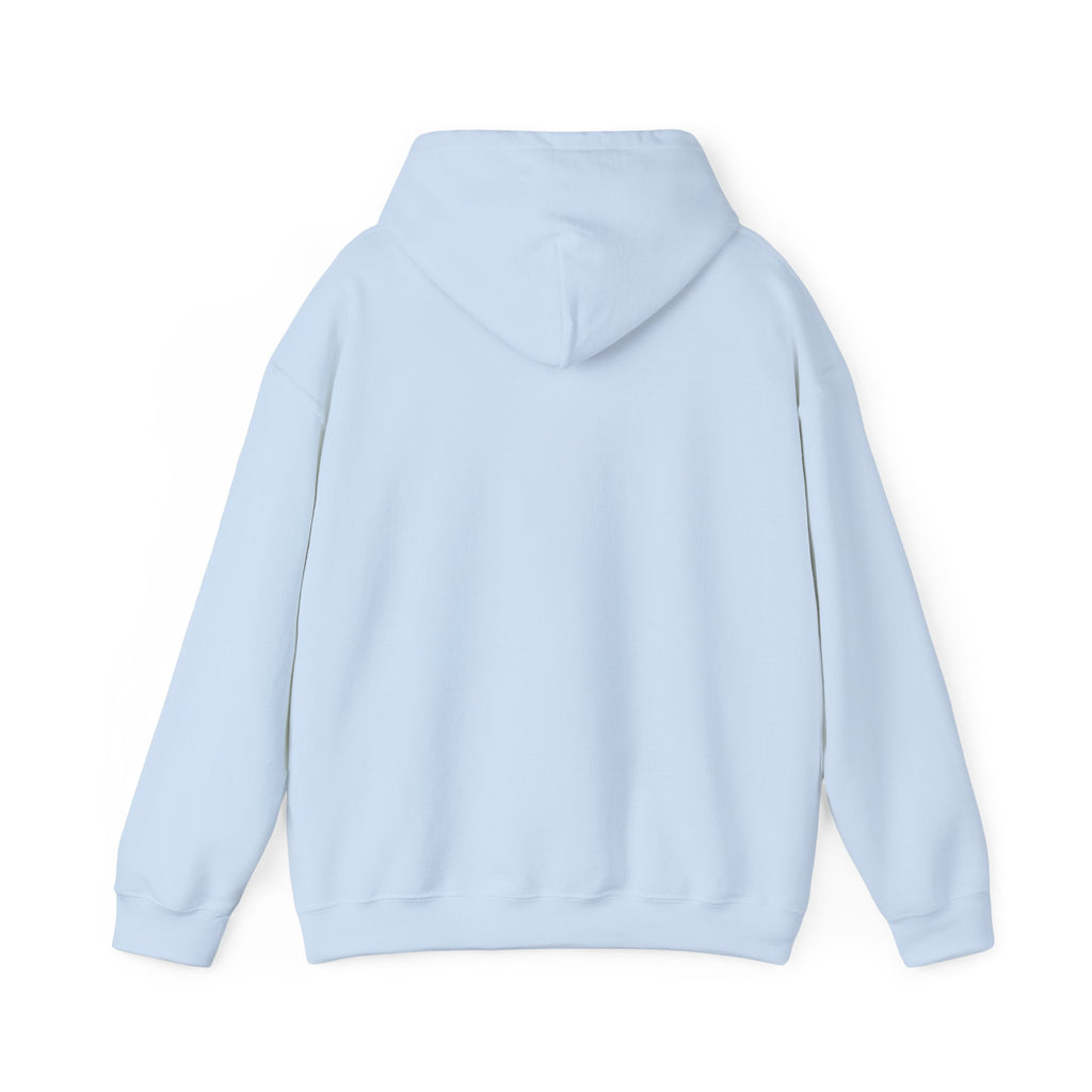 "Who's Seeing Ghosts Now?" Unisex Heavy Blend™ Hooded Sweatshirt
