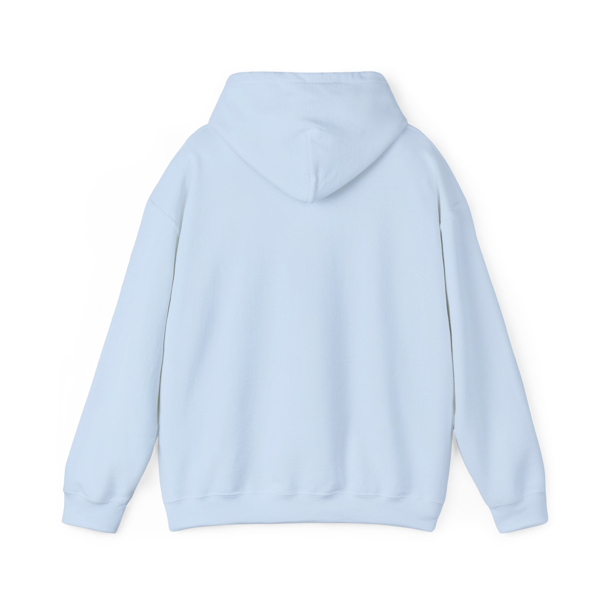 "Who's Seeing Ghosts Now?" Unisex Heavy Blend™ Hooded Sweatshirt