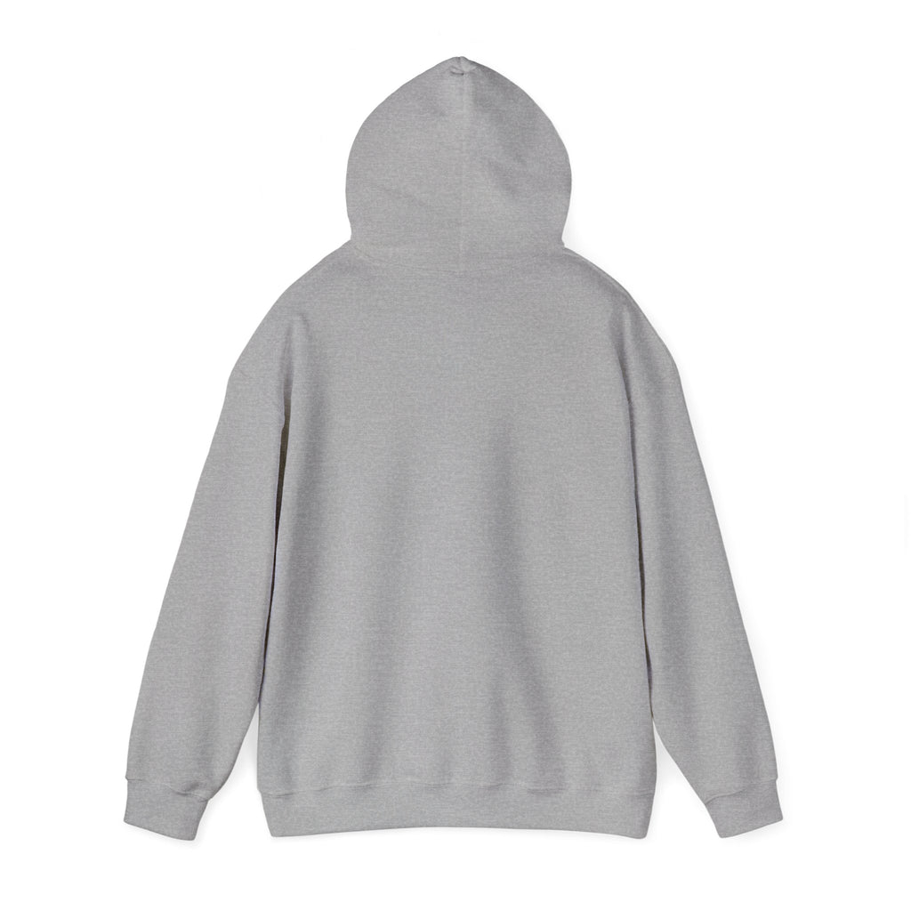 "Who's Seeing Ghosts Now?" Unisex Heavy Blend™ Hooded Sweatshirt