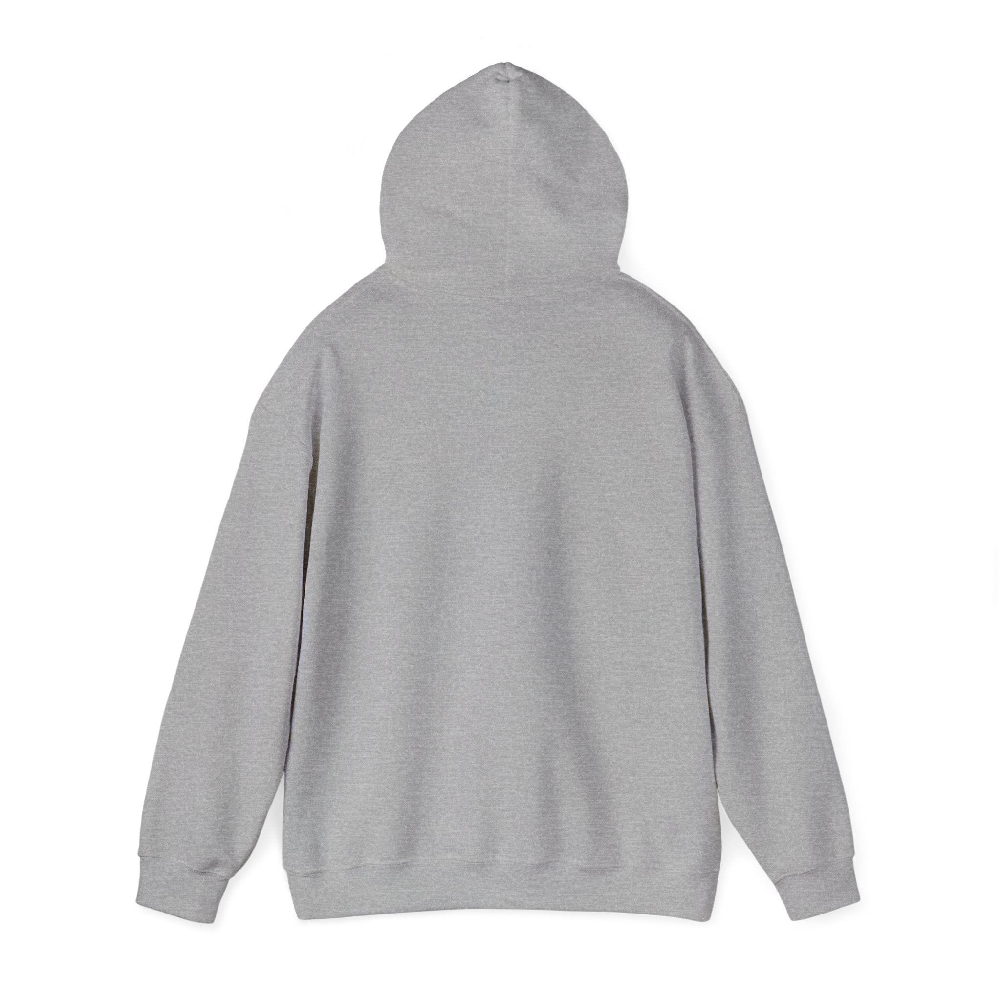 "Who's Seeing Ghosts Now?" Unisex Heavy Blend™ Hooded Sweatshirt