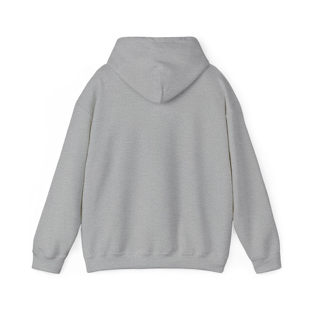 "Who's Seeing Ghosts Now?" Unisex Heavy Blend™ Hooded Sweatshirt