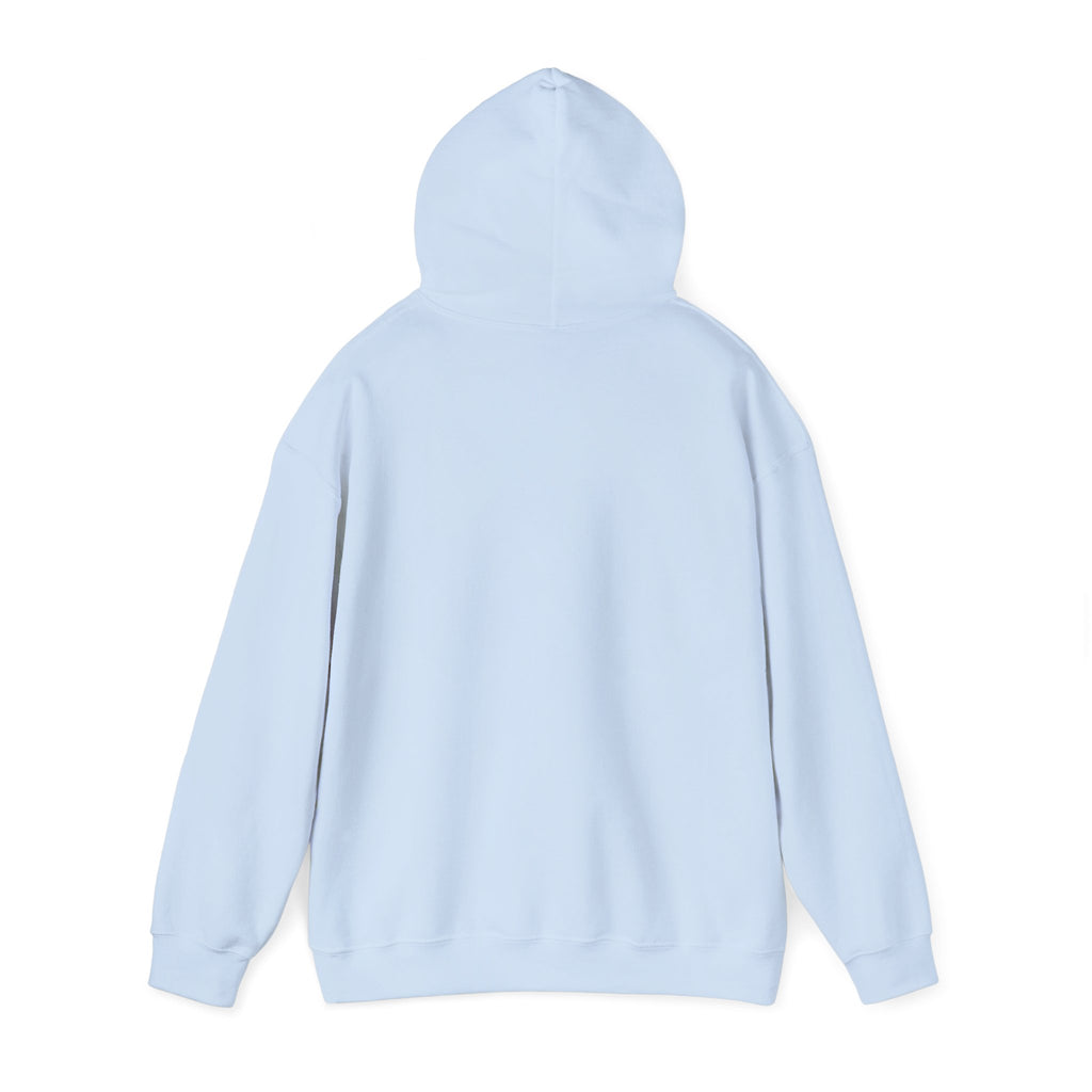 "Who's Seeing Ghosts Now?" Unisex Heavy Blend™ Hooded Sweatshirt