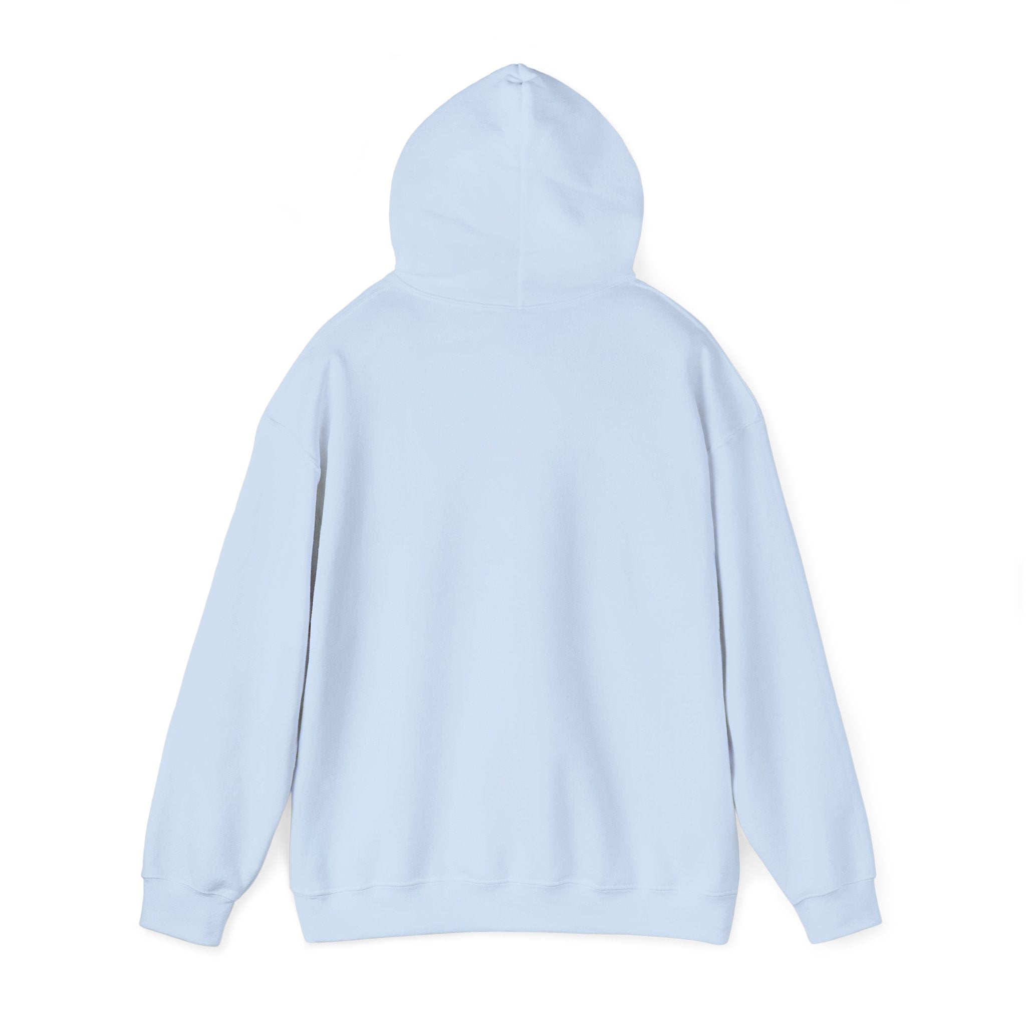 "Who's Seeing Ghosts Now?" Unisex Heavy Blend™ Hooded Sweatshirt