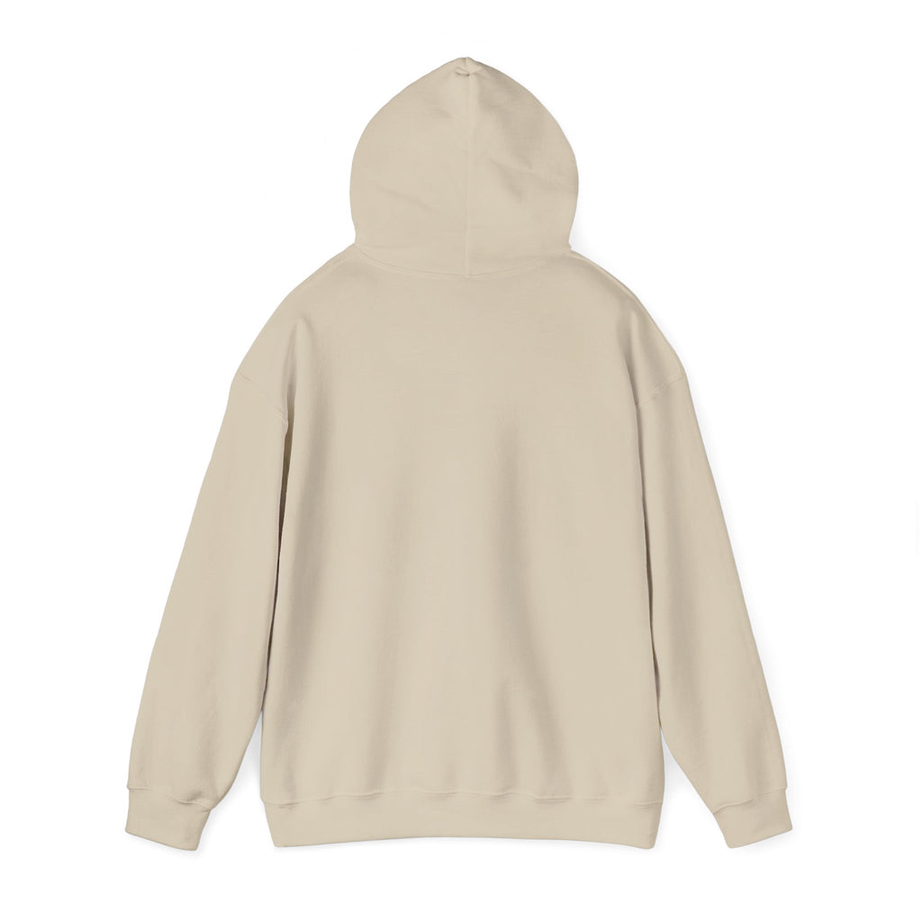 "Who's Seeing Ghosts Now?" Unisex Heavy Blend™ Hooded Sweatshirt