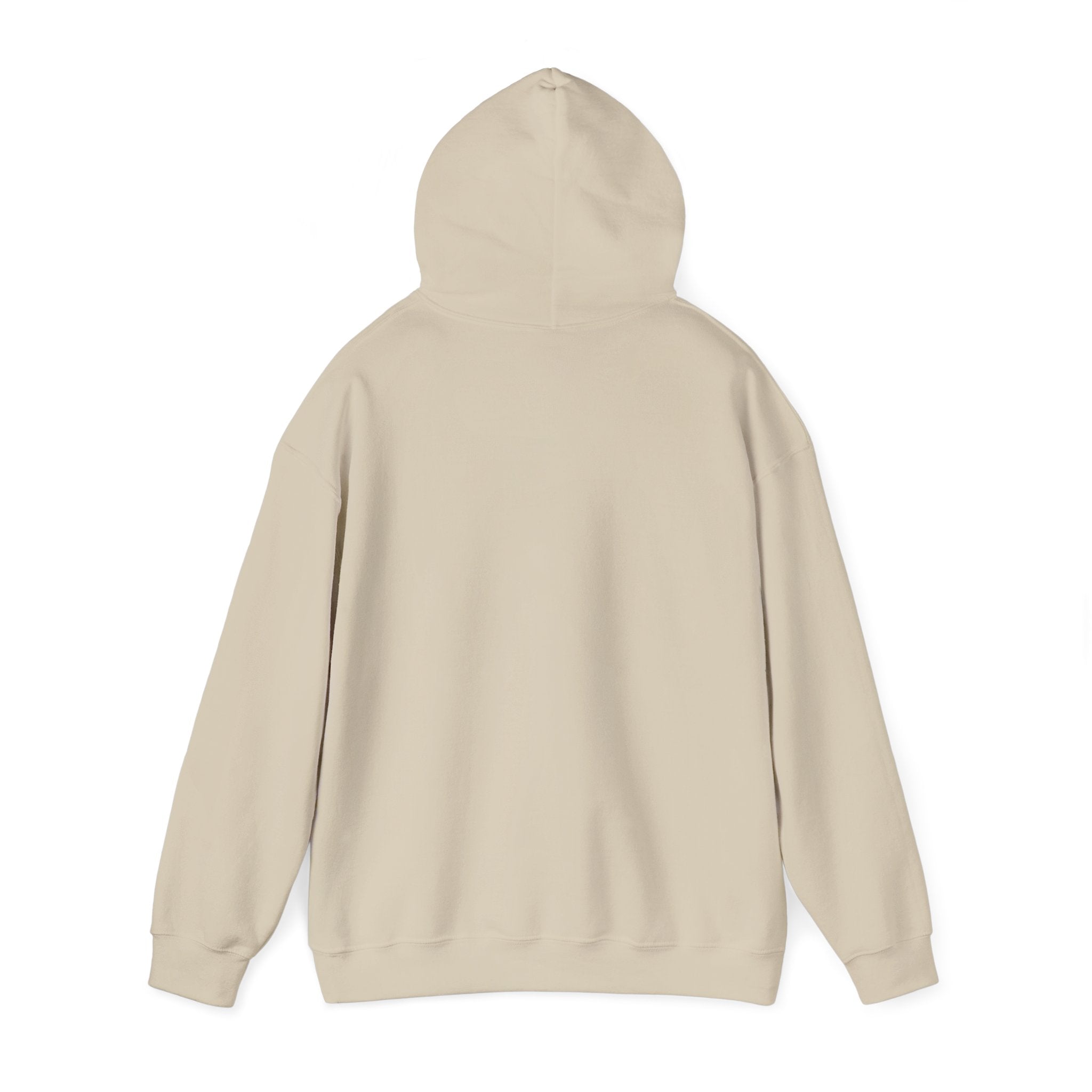 "Who's Seeing Ghosts Now?" Unisex Heavy Blend™ Hooded Sweatshirt