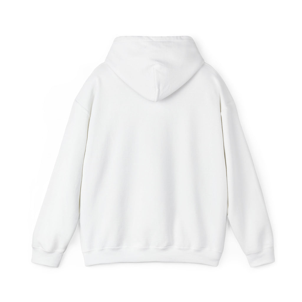"Who's Seeing Ghosts Now?" Unisex Heavy Blend™ Hooded Sweatshirt