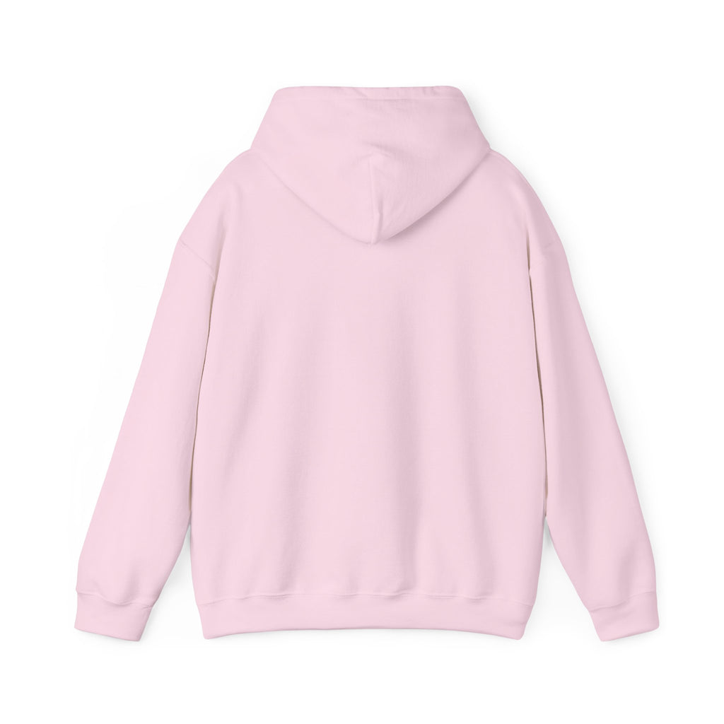 "Who's Seeing Ghosts Now?" Unisex Heavy Blend™ Hooded Sweatshirt
