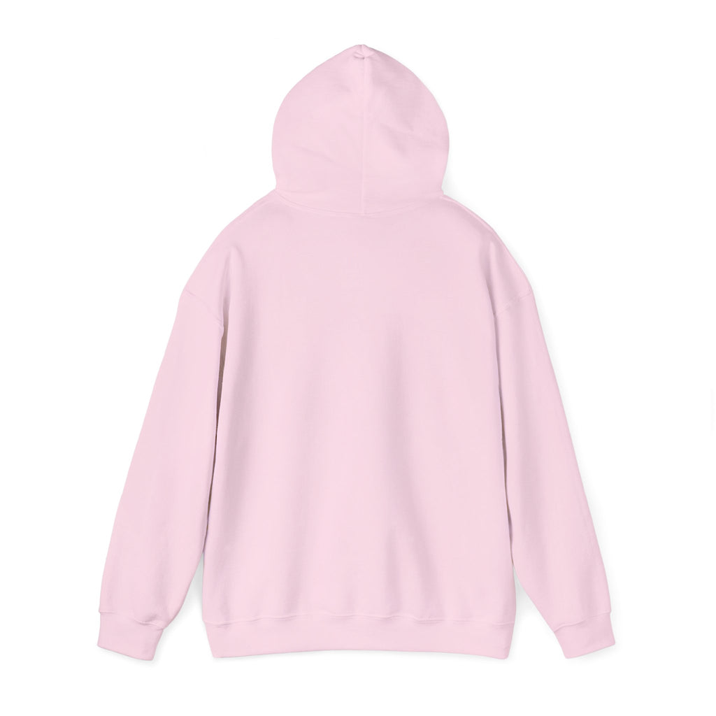 "Who's Seeing Ghosts Now?" Unisex Heavy Blend™ Hooded Sweatshirt